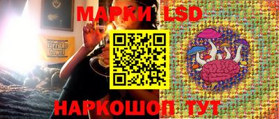 молекула духа Новозыбков