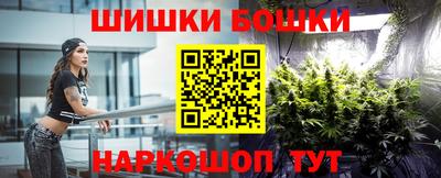 молекула духа Новозыбков